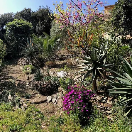 Βίλα La Sarrazine - Port Du Niel - Vue *