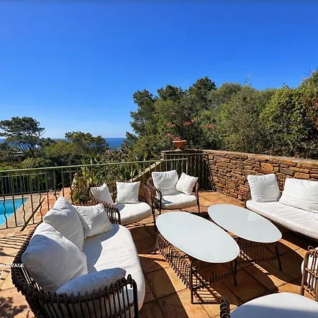 La Sarrazine - Port Du Niel - Vue * Hyères